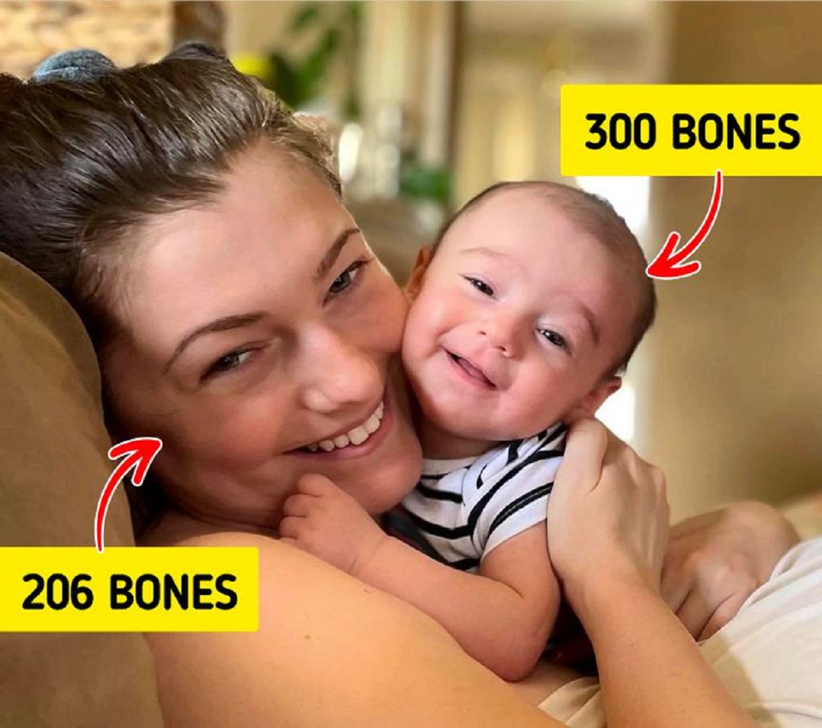 تعداد استخوان های نوزاد
