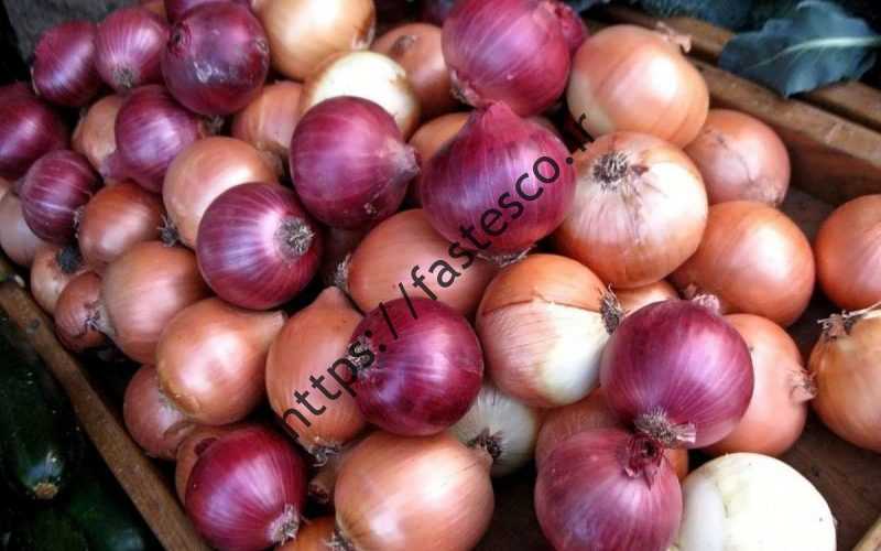 طرز تهیه کباب تاپسی ترکیه پیاز