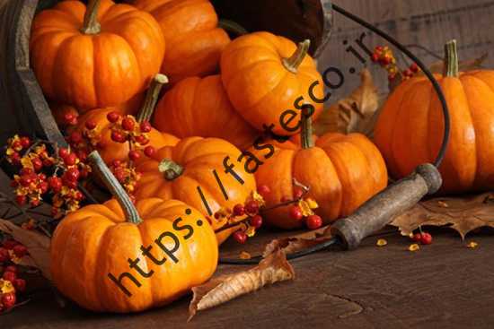 این روزها بیشتر از این شخصیت تنبل آگاه شوید