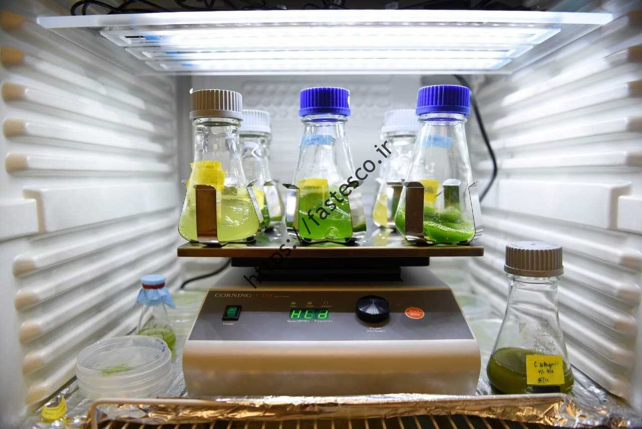 محتویات بشقاب شما در 20 سال آینده چگونه تغییر می کند؟