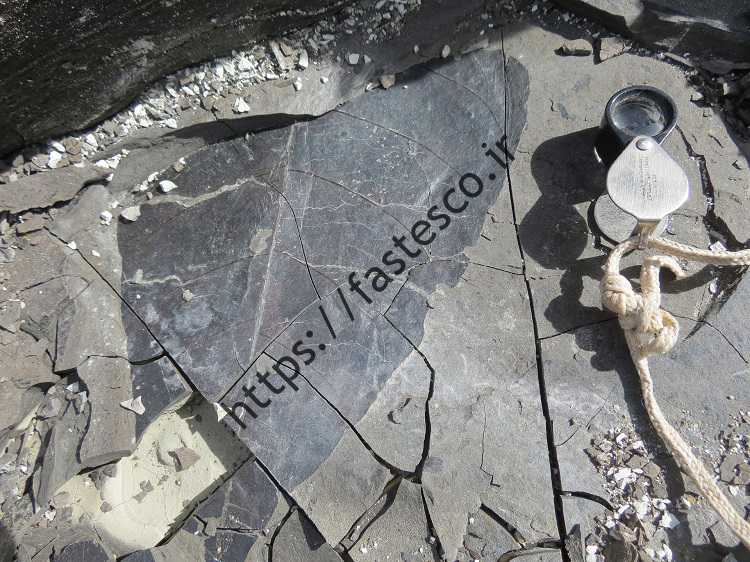 جستجوی سند 22 میلیون ساله در مورد رابطه بین دی اکسید کربن و گرم شدن کره زمین