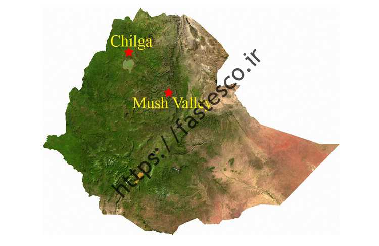 جستجوی سند 22 میلیون ساله در مورد رابطه بین دی اکسید کربن و گرم شدن کره زمین