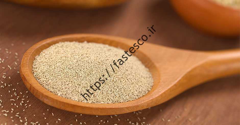 پودر خمیر مخمر