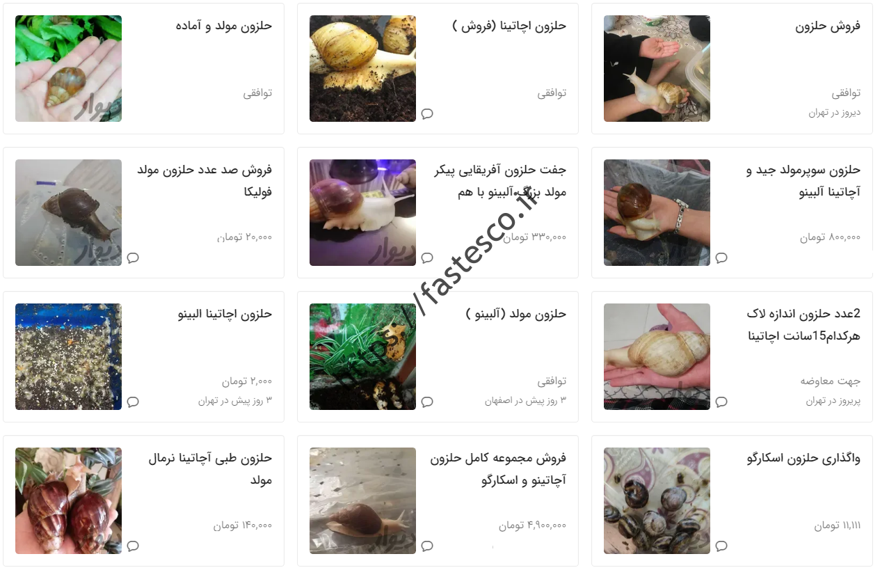 قیمت های عجیب برش های خانگی