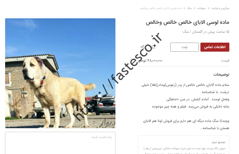 قیمت های عجیب مهر!